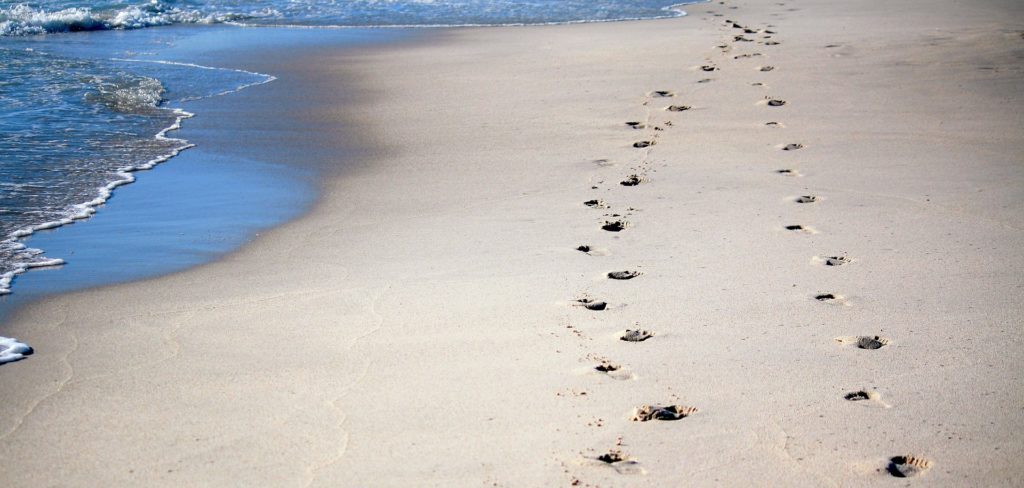 footprints-600743_1920